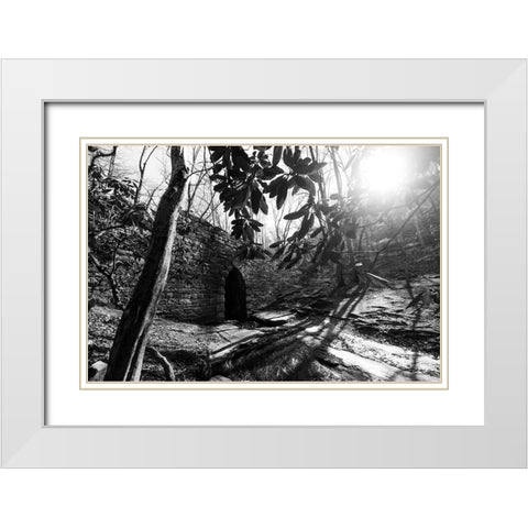 Poinsett Bridge 3 BW White Modern Wood Framed Art Print with Double Matting by Malone, Will
