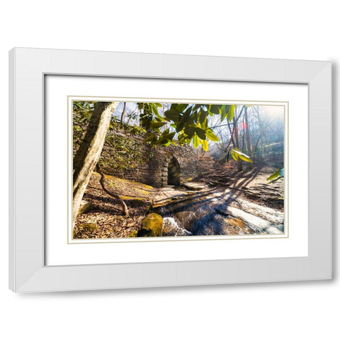 Poinsett Bridge 4 White Modern Wood Framed Art Print with Double Matting by Malone, Will