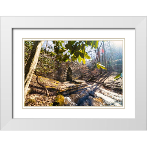 Poinsett Bridge 4 White Modern Wood Framed Art Print with Double Matting by Malone, Will