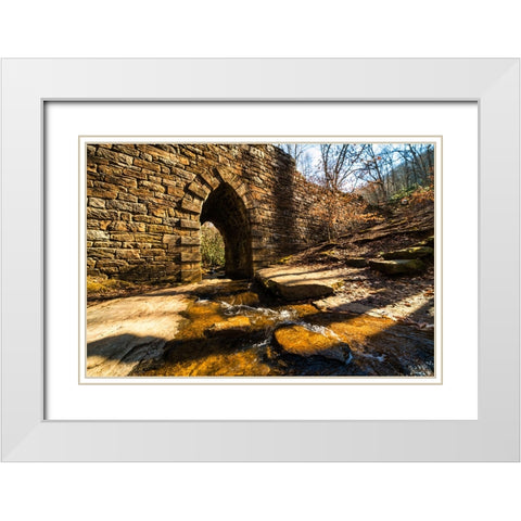 Poinsett Bridge 5 White Modern Wood Framed Art Print with Double Matting by Malone, Will