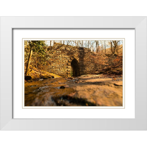 Poinsett Bridge 6 White Modern Wood Framed Art Print with Double Matting by Malone, Will