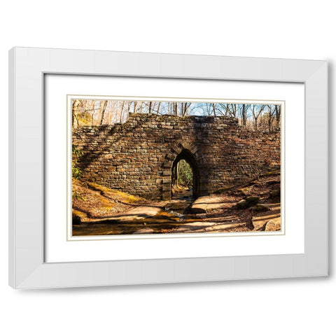 Poinsett Bridge 7 White Modern Wood Framed Art Print with Double Matting by Malone, Will