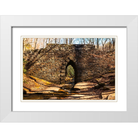 Poinsett Bridge 7 White Modern Wood Framed Art Print with Double Matting by Malone, Will