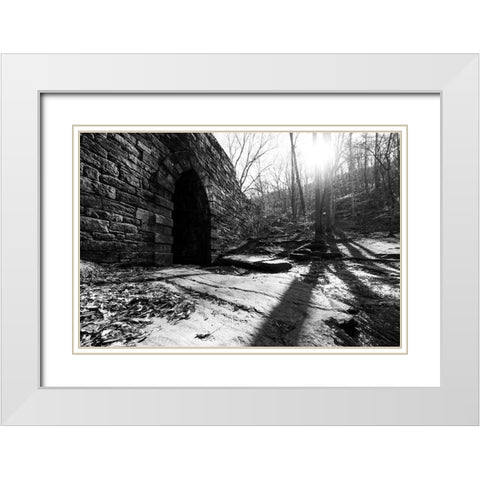 Poinsett Bridge 8 White Modern Wood Framed Art Print with Double Matting by Malone, Will