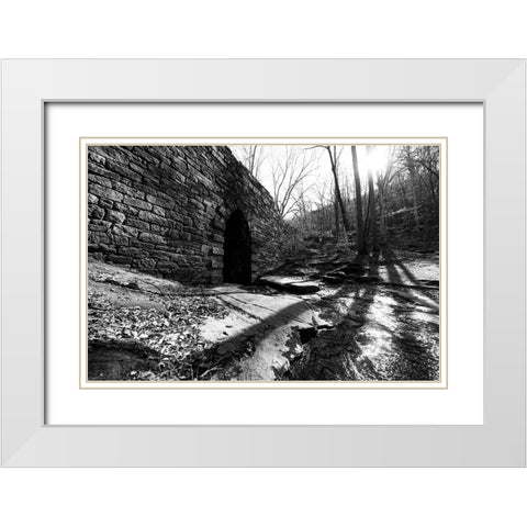Poinsett Bridge 9 White Modern Wood Framed Art Print with Double Matting by Malone, Will