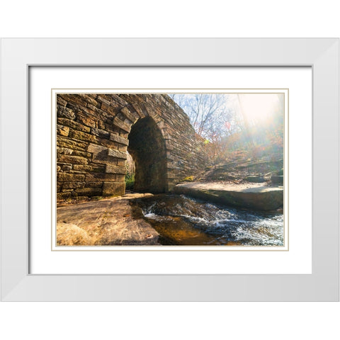 Poinsett Bridge 10 White Modern Wood Framed Art Print with Double Matting by Malone, Will