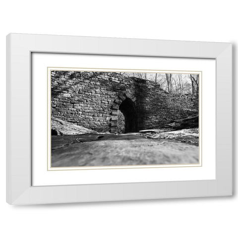 Poinsett Bridge 6 BW White Modern Wood Framed Art Print with Double Matting by Malone, Will