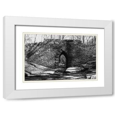 Poinsett Bridge 7 BW White Modern Wood Framed Art Print with Double Matting by Malone, Will