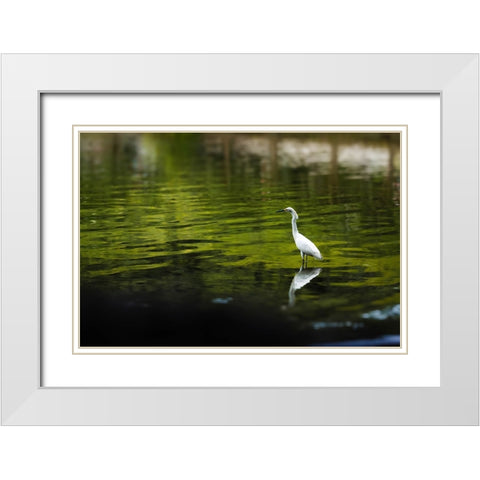 Reflection White Modern Wood Framed Art Print with Double Matting by Malone, Will