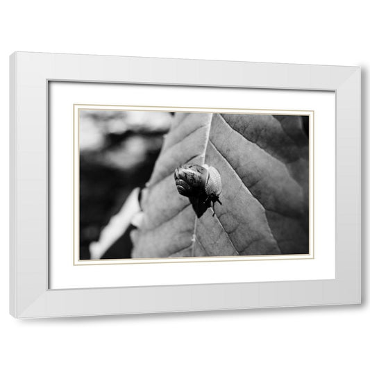 Perspective Image