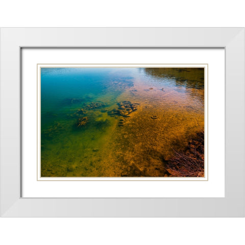 One Manâ€™s Trash White Modern Wood Framed Art Print with Double Matting by Malone, Will