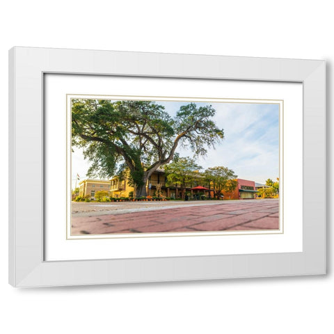 City Hall White Modern Wood Framed Art Print with Double Matting by Malone, Will