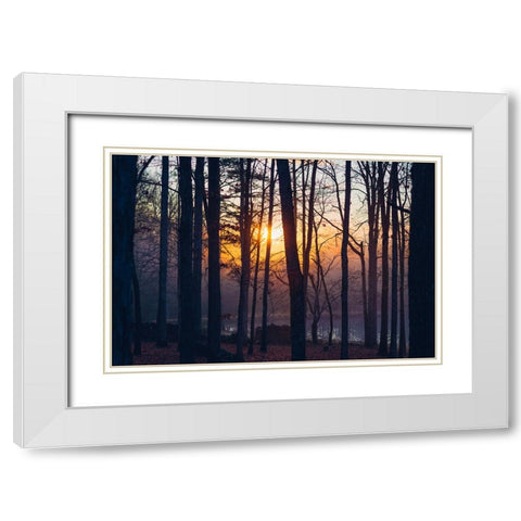 Foggy Sunrise White Modern Wood Framed Art Print with Double Matting by Malone, Will