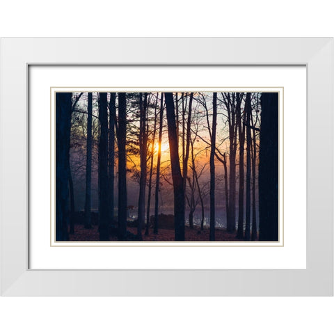 Foggy Sunrise White Modern Wood Framed Art Print with Double Matting by Malone, Will