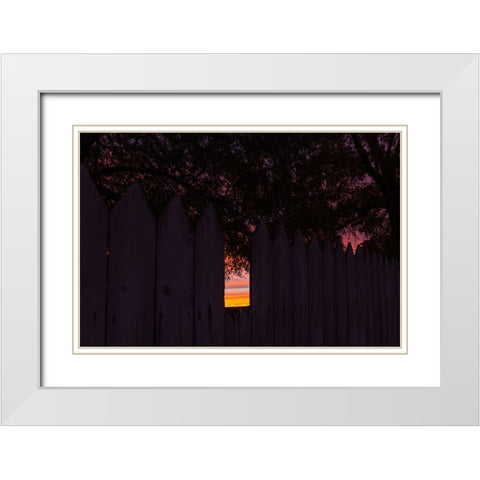 Backyard Sun 2 White Modern Wood Framed Art Print with Double Matting by Malone, Will