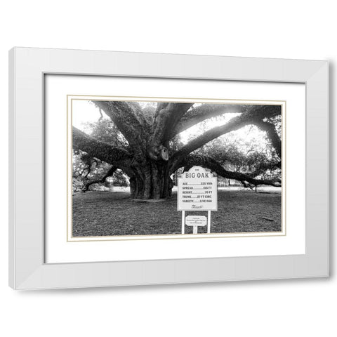 Big Oak Vintage White Modern Wood Framed Art Print with Double Matting by Malone, Will