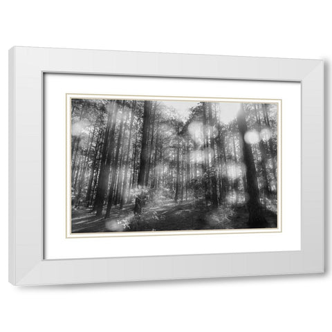 Blurry Forest BW White Modern Wood Framed Art Print with Double Matting by Malone, Will