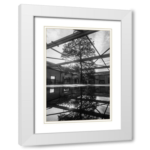 Breakthrough White Modern Wood Framed Art Print with Double Matting by Malone, Will