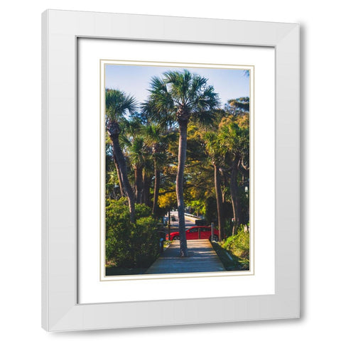 Camaro Palm White Modern Wood Framed Art Print with Double Matting by Malone, Will