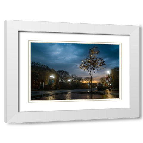 Charlie Brown Tree White Modern Wood Framed Art Print with Double Matting by Malone, Will
