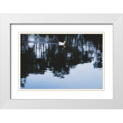 Cherokee Lake Duck White Modern Wood Framed Art Print with Double Matting by Malone, Will
