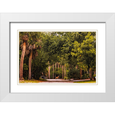 Deer Canopy White Modern Wood Framed Art Print with Double Matting by Malone, Will