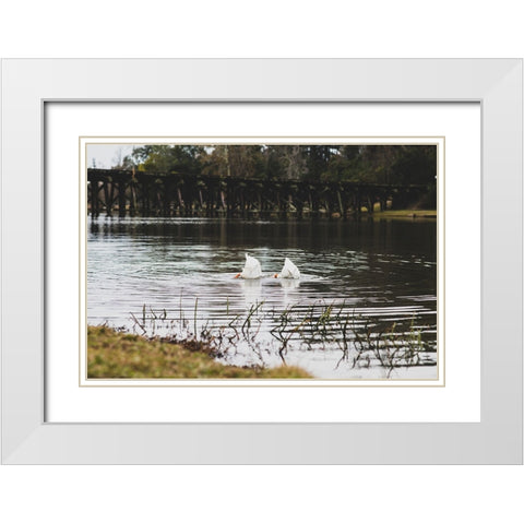 Duck Tails White Modern Wood Framed Art Print with Double Matting by Malone, Will
