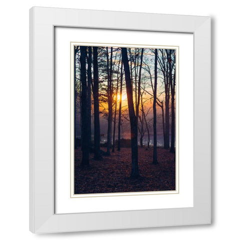 Foggy Sunrise Vert White Modern Wood Framed Art Print with Double Matting by Malone, Will
