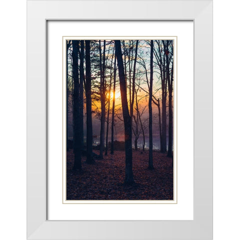 Foggy Sunrise Vert White Modern Wood Framed Art Print with Double Matting by Malone, Will