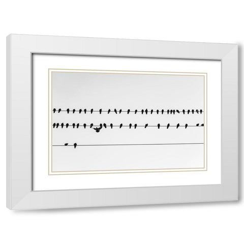 Get in Line Watermark White Modern Wood Framed Art Print with Double Matting by Malone, Will