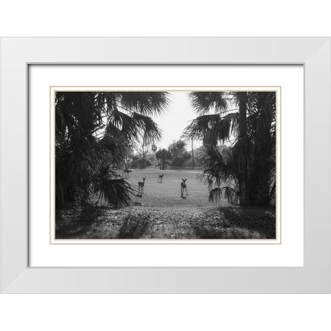 Hey White Modern Wood Framed Art Print with Double Matting by Malone, Will