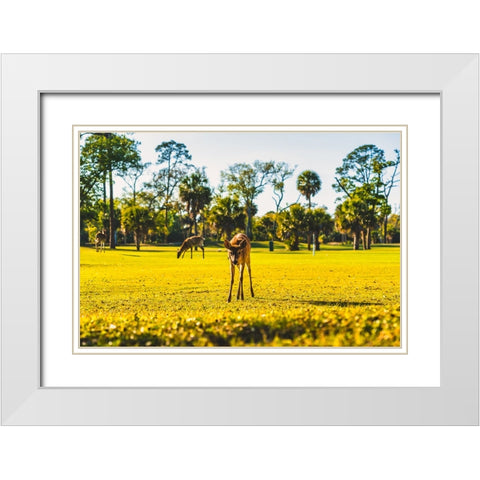 Hi White Modern Wood Framed Art Print with Double Matting by Malone, Will