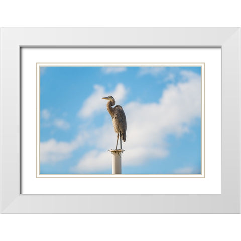 Keeping Watch White Modern Wood Framed Art Print with Double Matting by Malone, Will