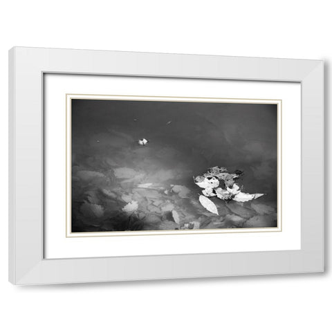Leaves White Modern Wood Framed Art Print with Double Matting by Malone, Will