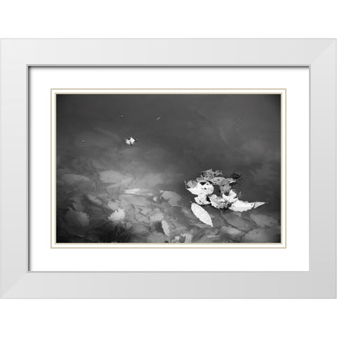 Leaves White Modern Wood Framed Art Print with Double Matting by Malone, Will