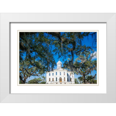 Live Oak Courthouse White Modern Wood Framed Art Print with Double Matting by Malone, Will