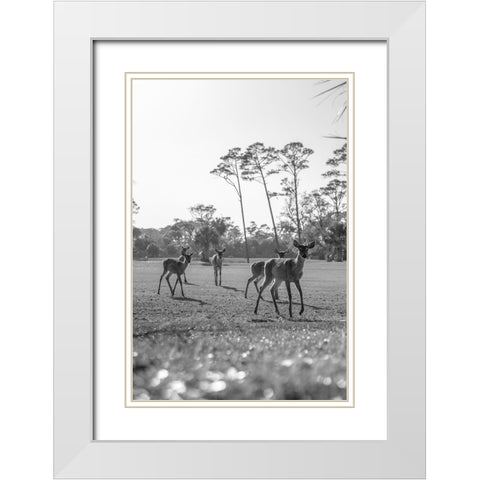 Make Way White Modern Wood Framed Art Print with Double Matting by Malone, Will