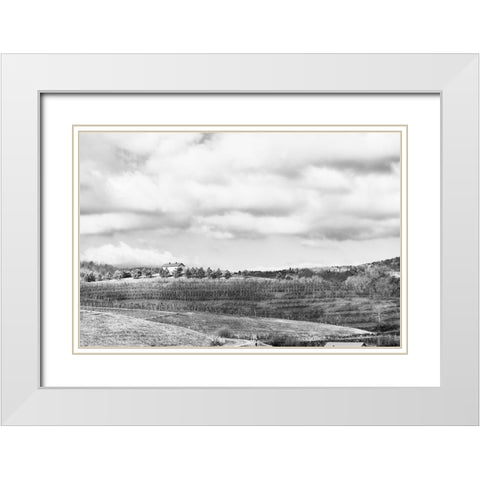 Merciers White Modern Wood Framed Art Print with Double Matting by Malone, Will