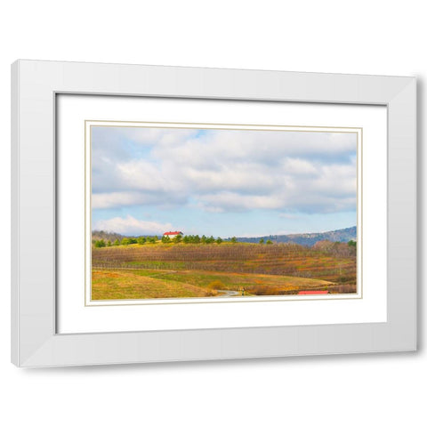 Merciers 2 White Modern Wood Framed Art Print with Double Matting by Malone, Will