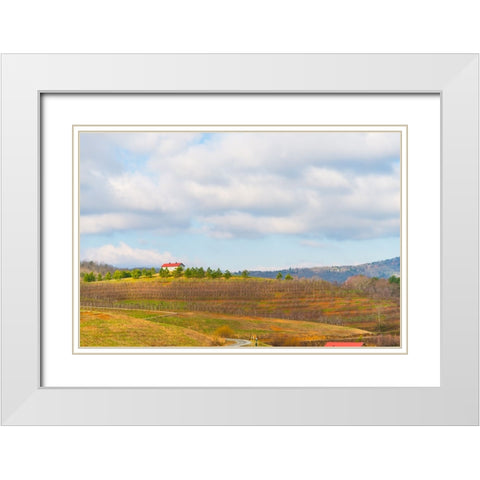 Merciers 2 White Modern Wood Framed Art Print with Double Matting by Malone, Will