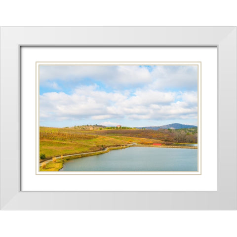 Merciers 3 White Modern Wood Framed Art Print with Double Matting by Malone, Will