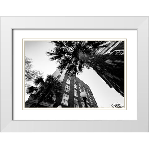 Metro Palm White Modern Wood Framed Art Print with Double Matting by Malone, Will