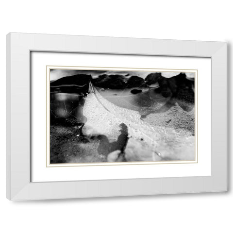 Monochrome Fall White Modern Wood Framed Art Print with Double Matting by Malone, Will