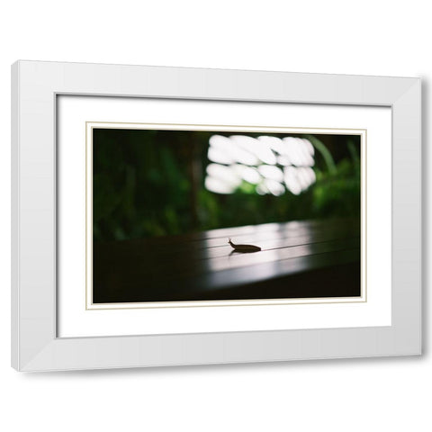Nightlife snail White Modern Wood Framed Art Print with Double Matting by Malone, Will