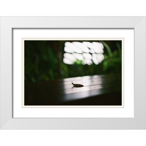 Nightlife snail White Modern Wood Framed Art Print with Double Matting by Malone, Will