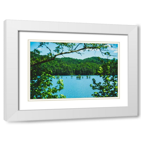 Ocoee Summer White Modern Wood Framed Art Print with Double Matting by Malone, Will