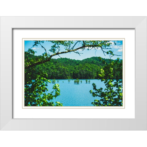 Ocoee Summer White Modern Wood Framed Art Print with Double Matting by Malone, Will