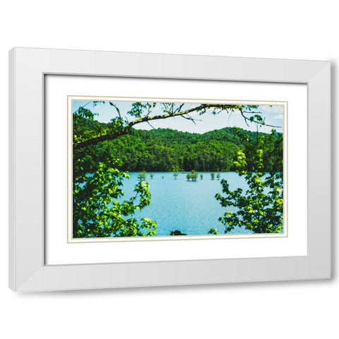 Ocoee Summer 2 White Modern Wood Framed Art Print with Double Matting by Malone, Will