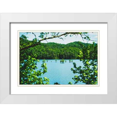 Ocoee Summer 2 White Modern Wood Framed Art Print with Double Matting by Malone, Will