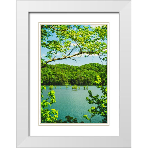 Ocoee Summer 2 Vertical White Modern Wood Framed Art Print with Double Matting by Malone, Will